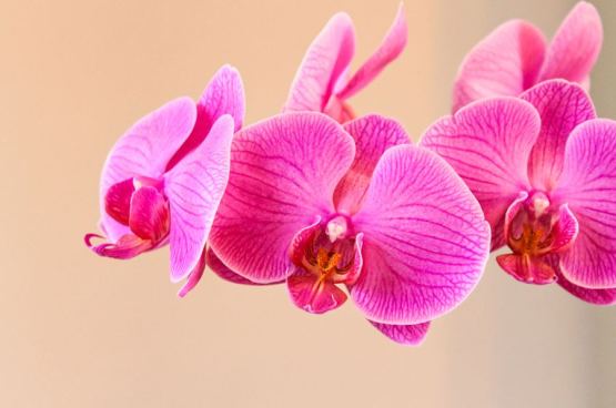 9978_581086951915586_98460836_n