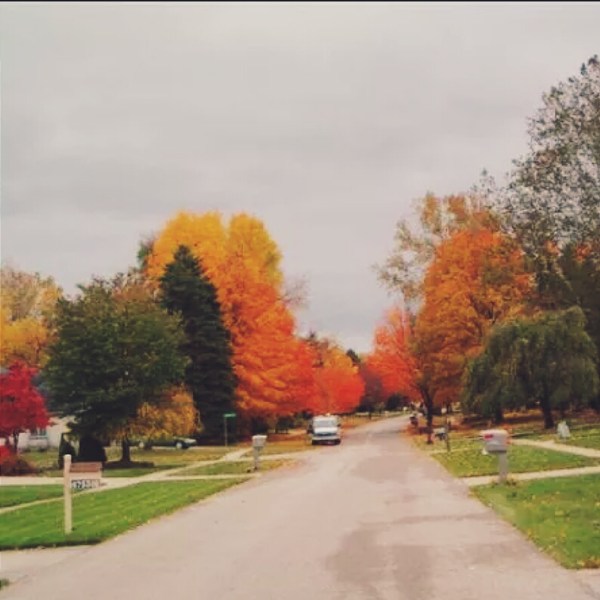 Thread Bears® Homage to Autumn