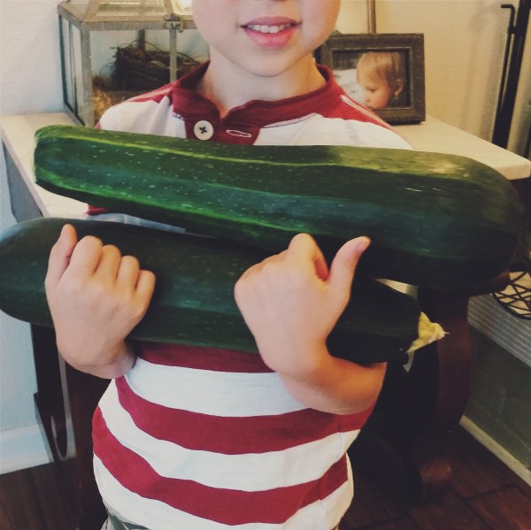 Chocolate Zucchini Loaf Cake by Thread Bears®