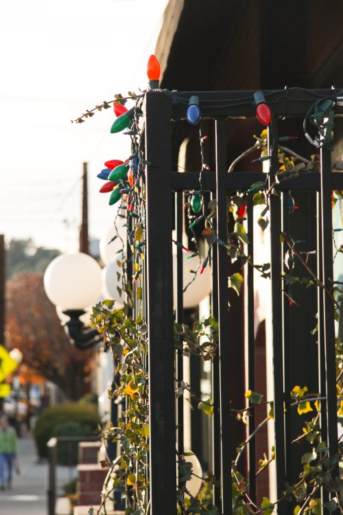 Out of the Thistle® Blog, dwell on the good this holiday.